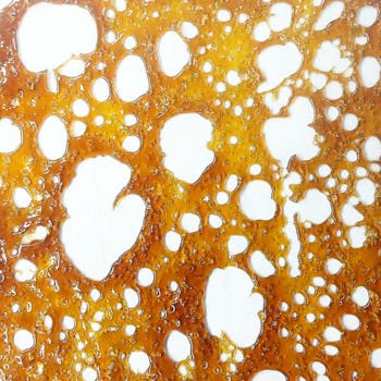 Pink Berry Punch Shatter